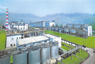 重庆先锋氧化铝公司管线工程