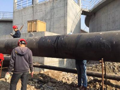 乐山第三污水厂管道检测项目